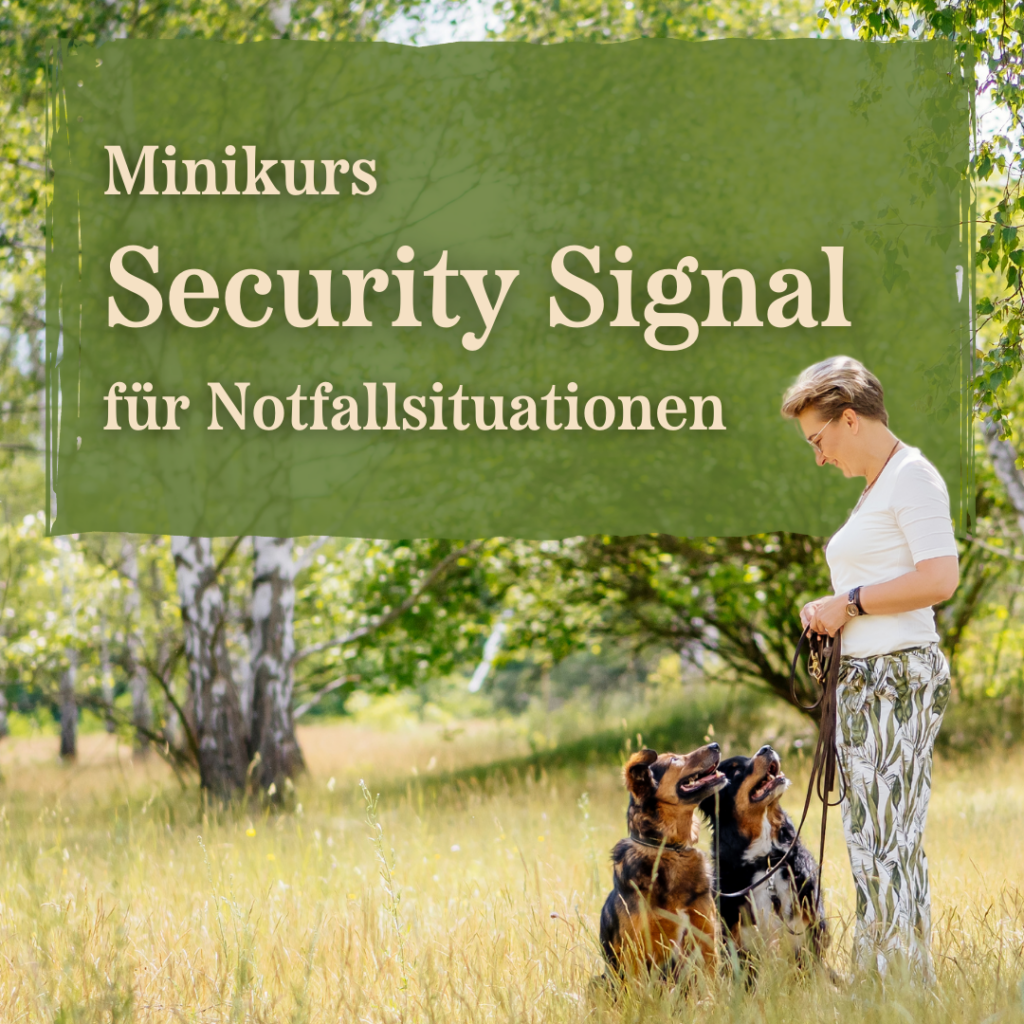 Minikurs "Security Signal für Notfallsituationen"